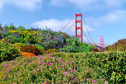 Golden Gate