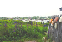 Downeast Maine