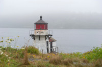 Squirrel Point Light