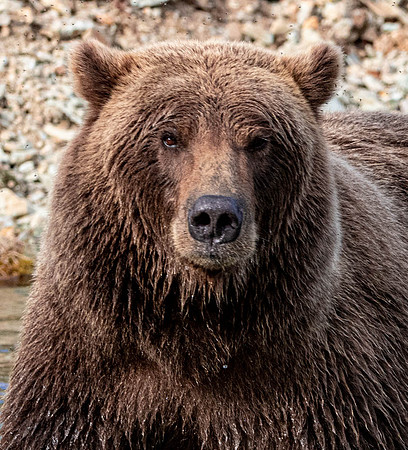 You Lookin at ME