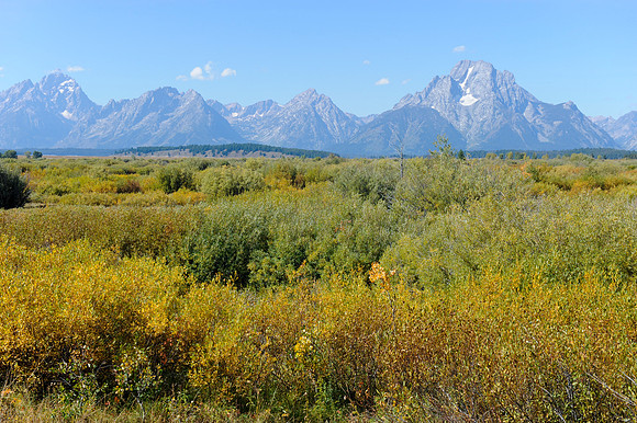 Grand Tetons
