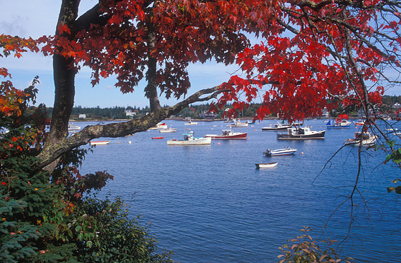 Autumn in Southwest Harbor