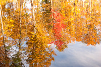 Autumn Reflections