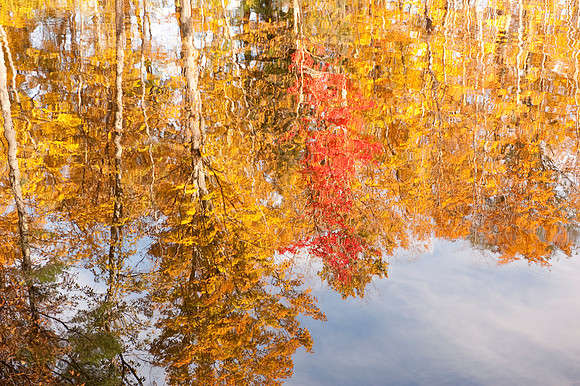 Autumn Reflections