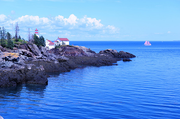 East Quoddy                       (Harbor Head)