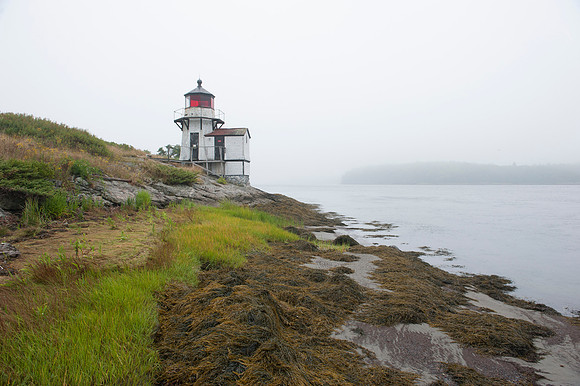 Squirrel Point Light