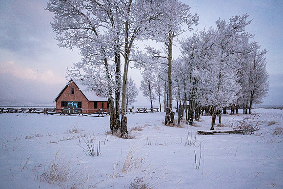 "Peach House"  Frosted Morn Mormon Row