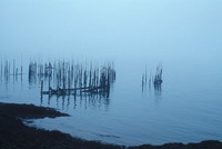 Weir in Fog