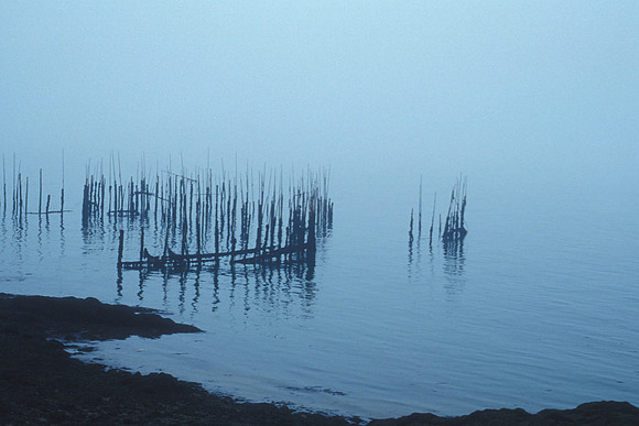 Weir in Fog